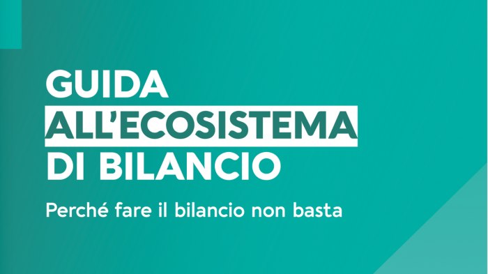 /media/post/dgg3d3z/bilanciomessage.png