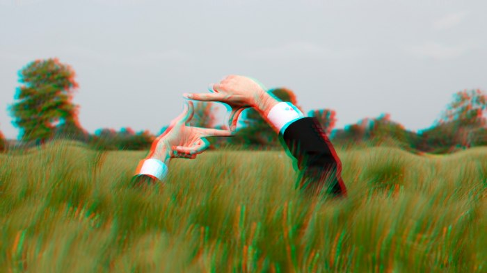/media/post/hetghlv/framegrandonipoma.png